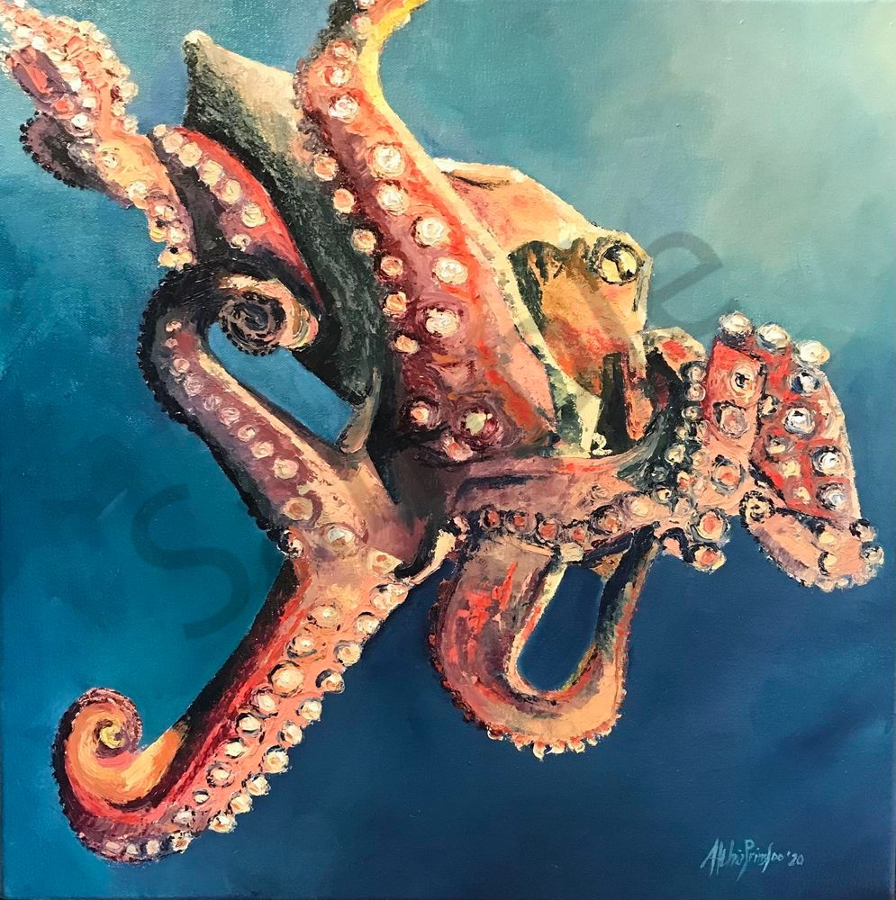 Octopus My Teacher Art | Althia Prinsloo Art