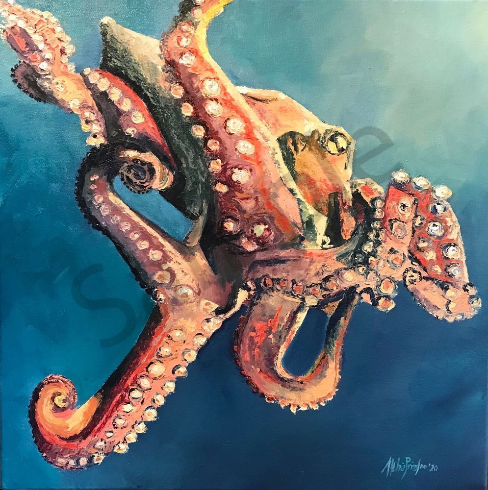 Octopus My Teacher Art | Althia Prinsloo Art
