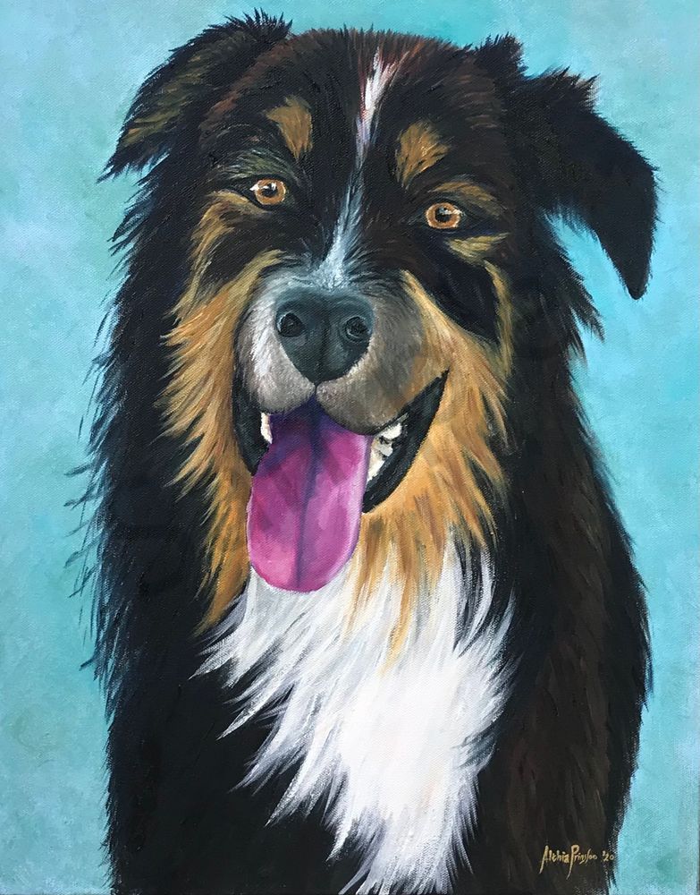 Australian Shepherd Art | Althia Prinsloo Art