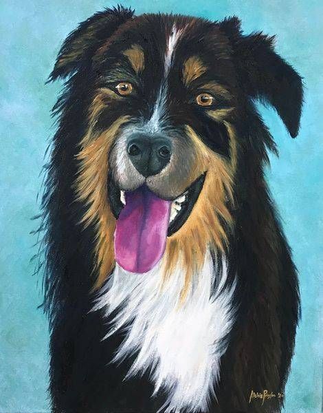 Australian Shepherd Art | Althia Prinsloo Art