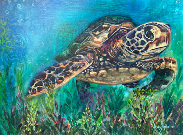 The Stillness Between Currents Art | Althia Prinsloo Art