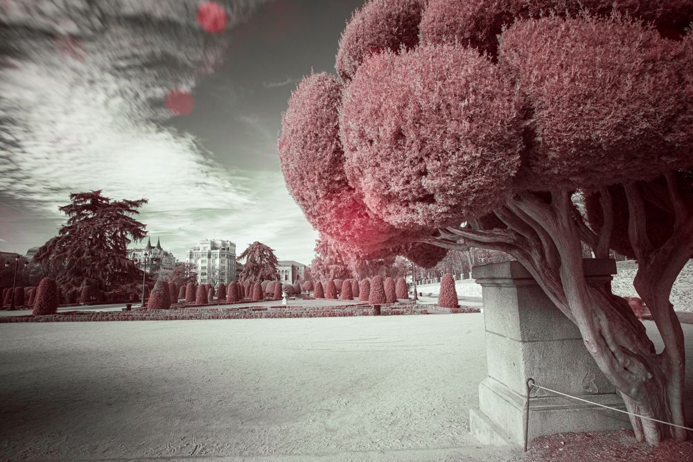 El Retiro In A Dream Photography Art | Picon Gallery
