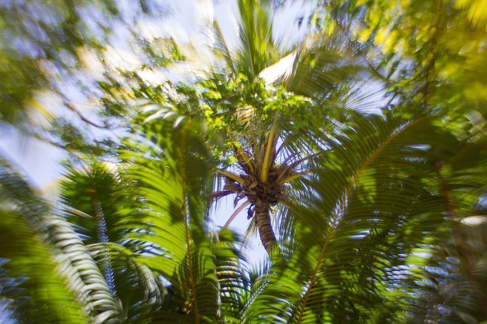 Island Life 1 Photography Art | Picon Gallery