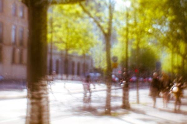 Dream in Paris