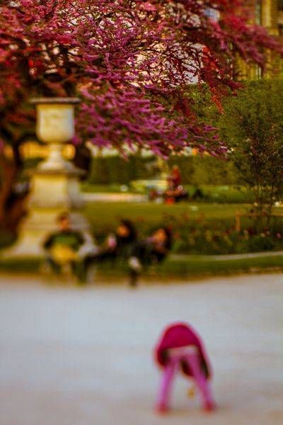 Les Tuileries