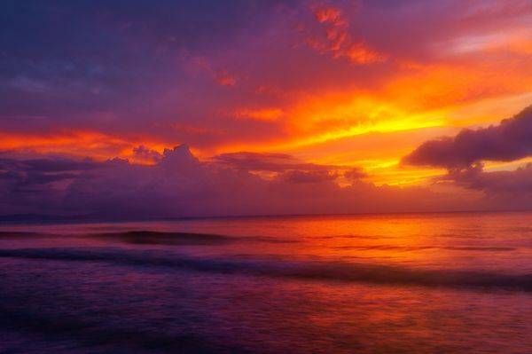 Caribe Oscura 5