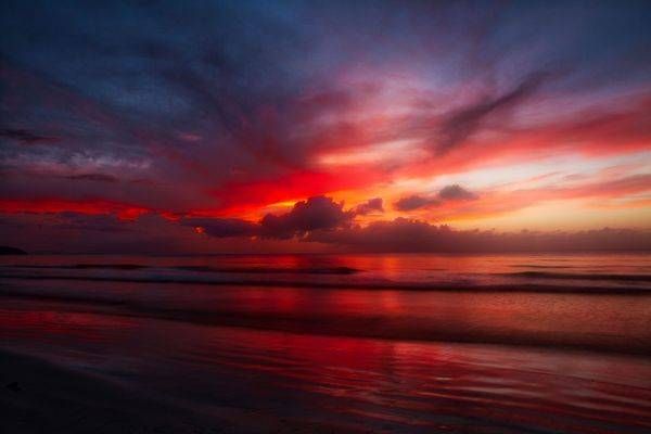 Caribe Oscura 6