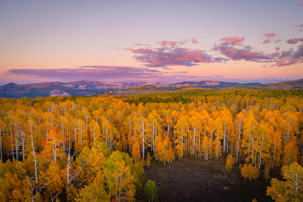 Harmony   Cedar Mountain, Utah Photography Art | Charles Kessner Media LLC