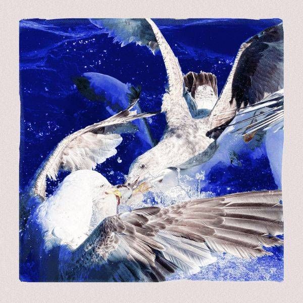 Blue Motion Seabird Tangle Art Print | Erika's Kreations