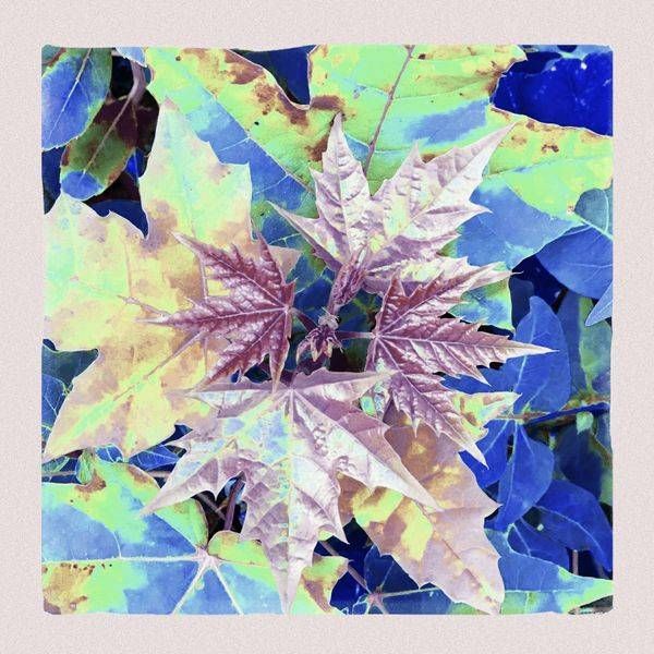 Hm Original 12 D22 A23 C036 458 F B1 Df A6 Aedff04 F76 Art | Kreations