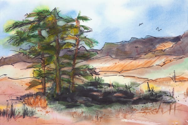 Landscapes