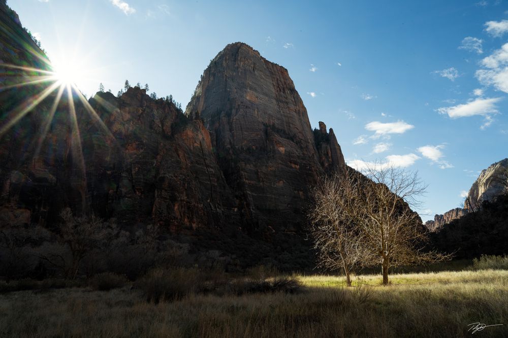 Whispers of Zion Print