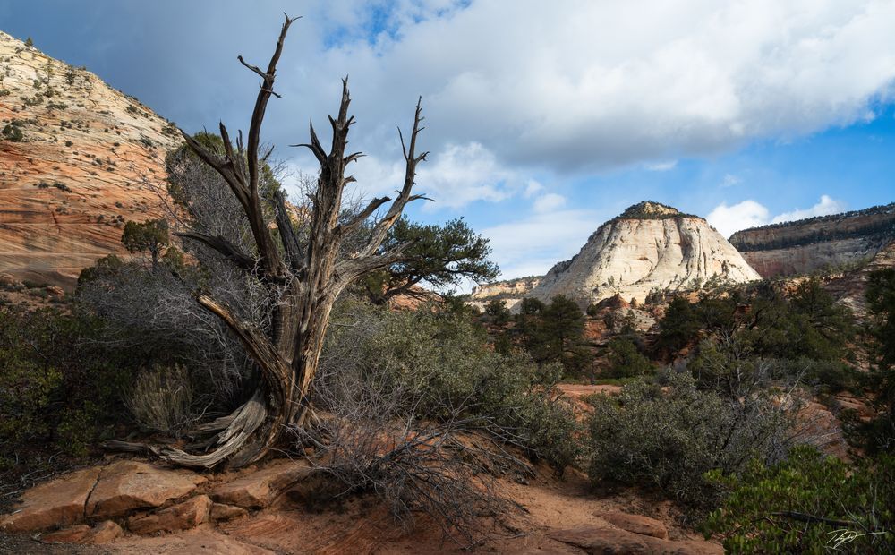 Stunning Utah Desert Print - Shop Now