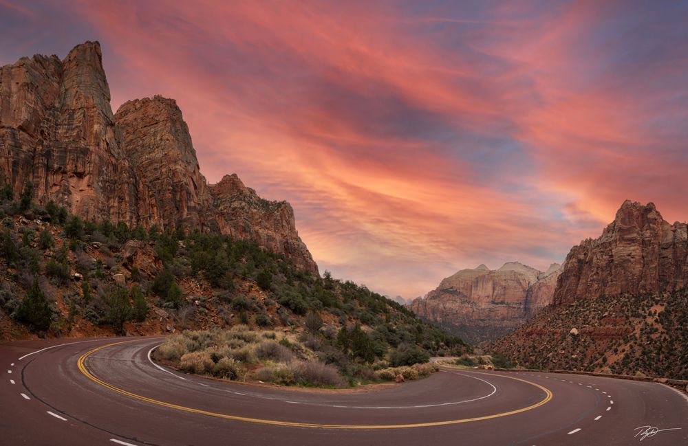Zion Twist - Zion National Park Print