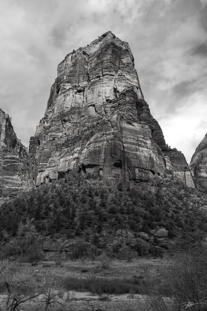 Zion National Park Tower Print
