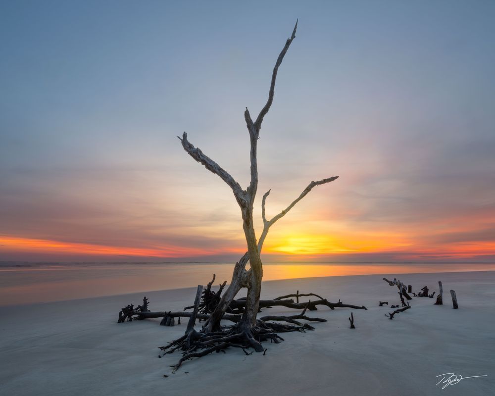 A Driftwood Sunrise Along A Carolina Coast Print