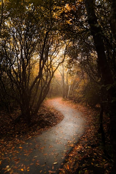 Into The Mist Print