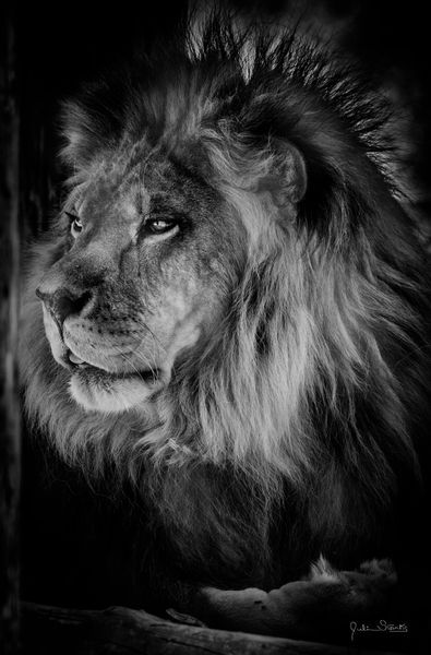 Sneak Peak! Book 2 (Photos)