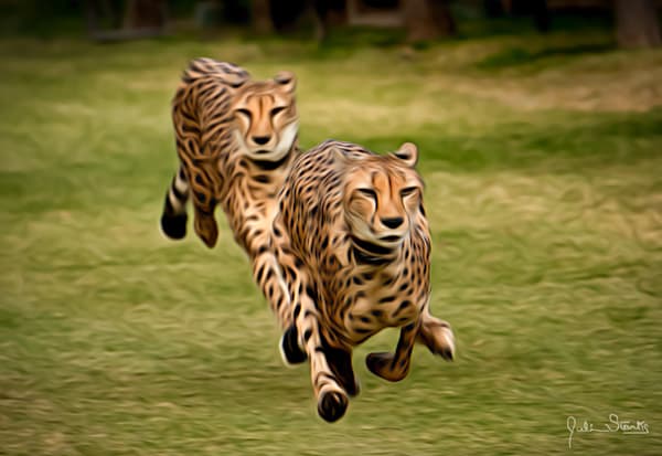 The Cheetah Brothers! - Painted