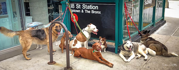 The Gangs of New York - Doggy Style!