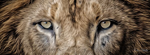 Lion's Eyes Don't Lie- Painted