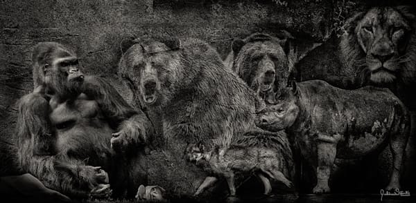 Say Hello to my Little Friends!