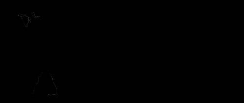 Julian Starks Photo Gallery