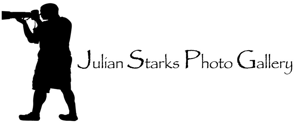 Julian Starks Photo Gallery