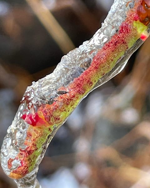 Frozen Rainbow Art | Jacob’s Hollow Studio