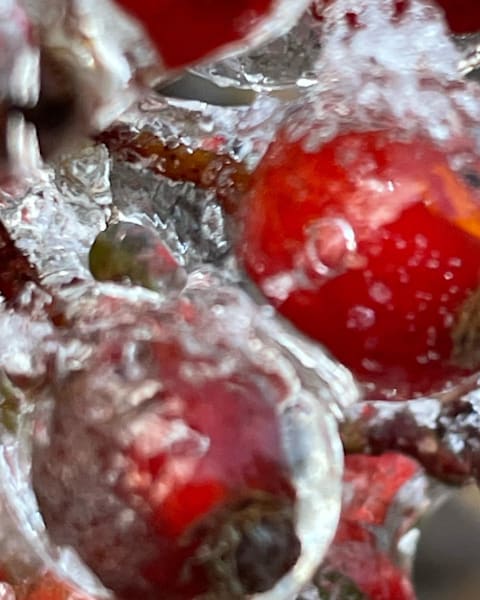 Wow Art | Jacob’s Hollow Studio