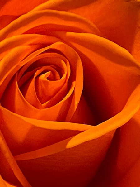 Orange Oasis Art | Jacob’s Hollow Studio