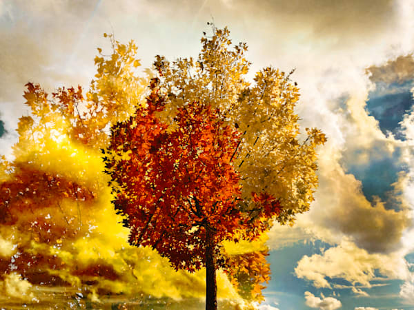 Color Photography
