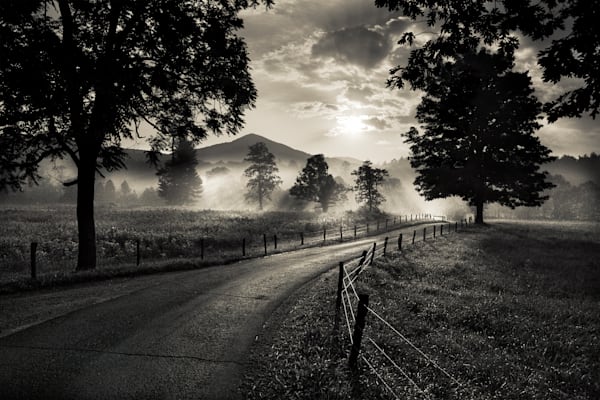 Black & White Photography
