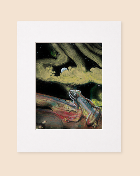 Dart Frog Night | Paintpourium