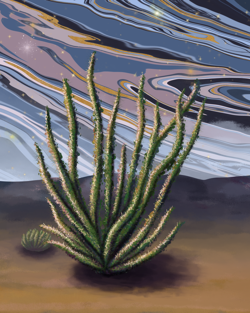 01.Celestial Reaches Art | Paintpourium