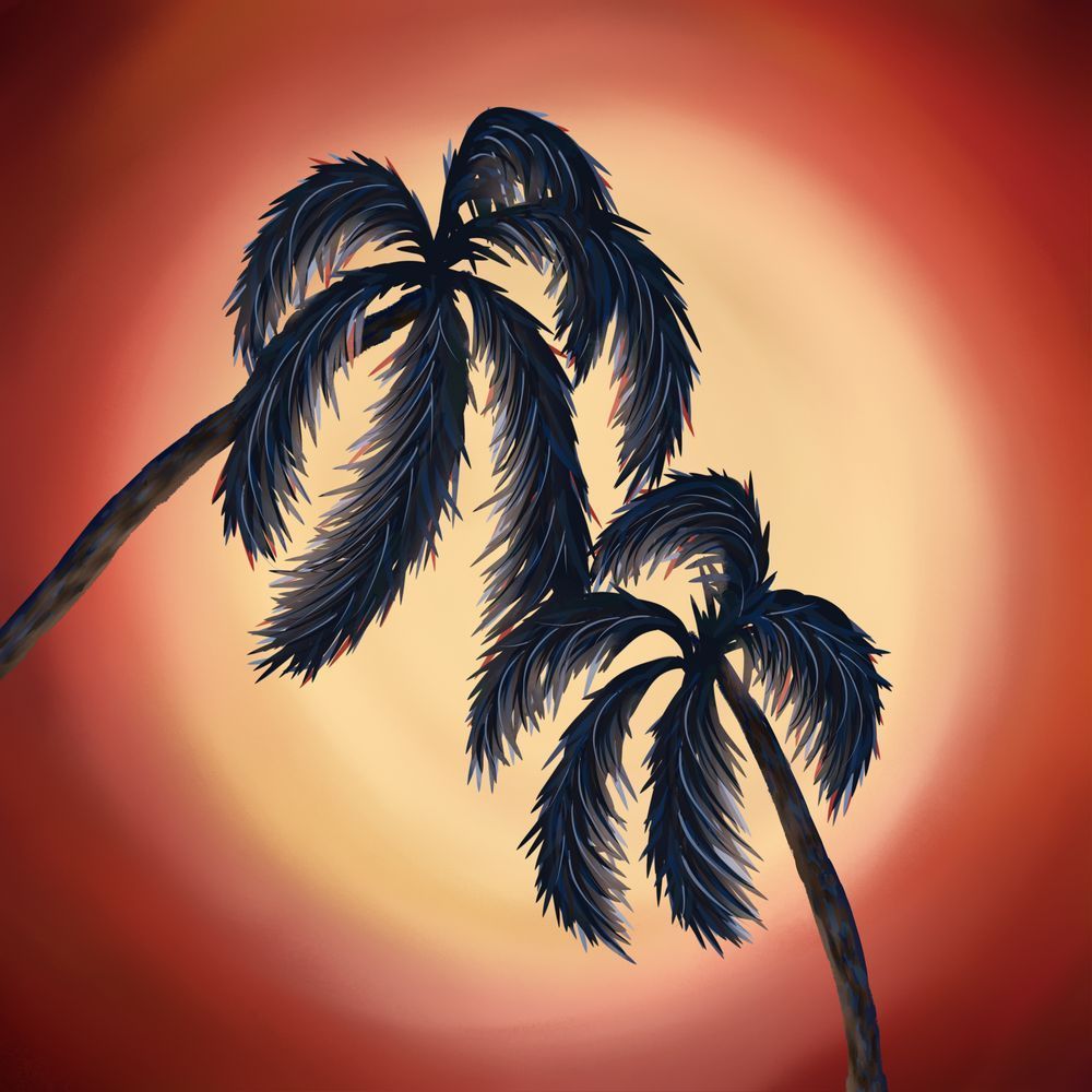 Tropical Silhouettes - Vibrant Sunset Palm Tree Artwork