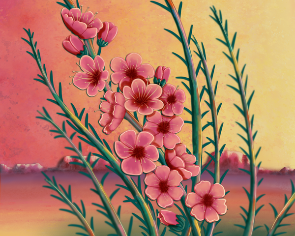 Ocotillo at Dusk - Vibrant Floral Southwest Art Print