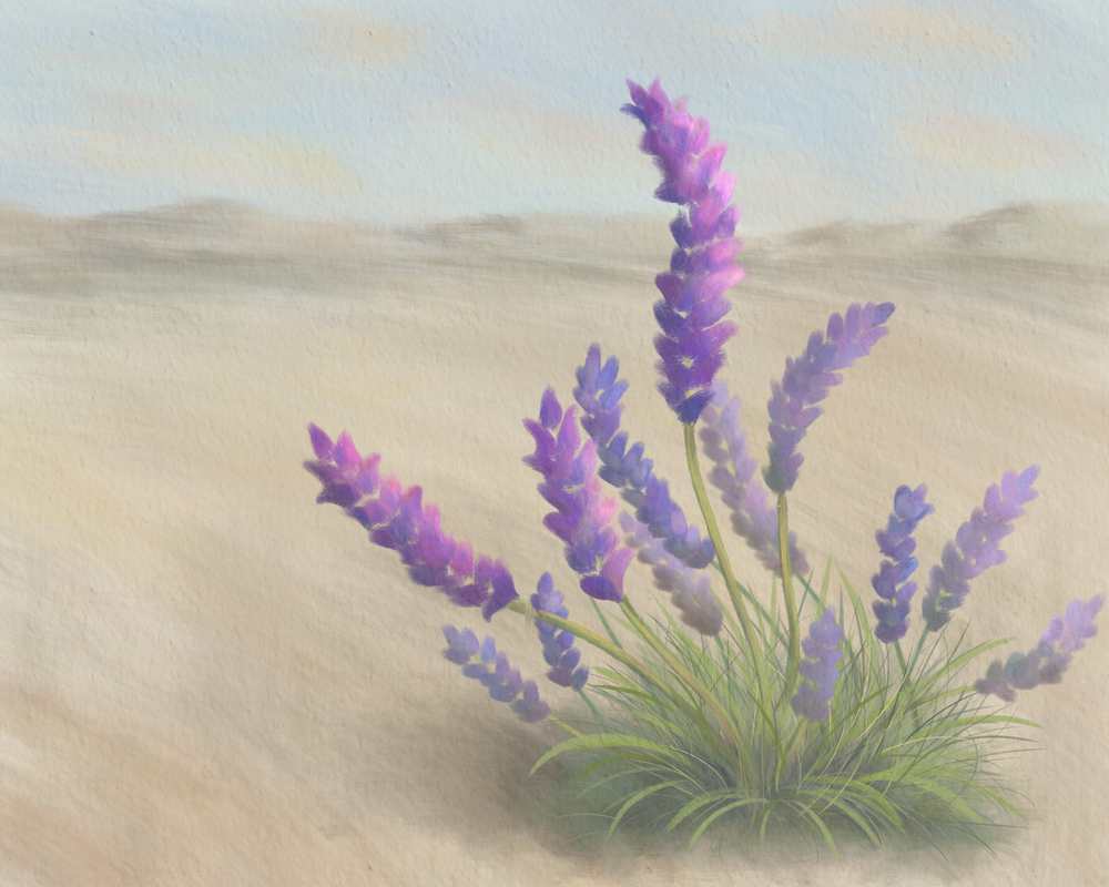 Desert Lavender Wall Art | Contemporary Desert Fine Art Print