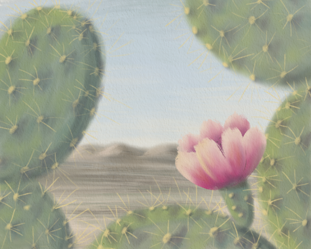 Tender Guard – Prickly Pear Cactus Flower Wall Art | Minimalist Desert Botanical Art