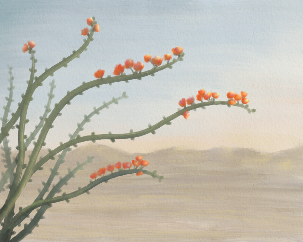 Thin Music – Ocotillo Desert Wall Art | Minimalist Southwest Botanical Art