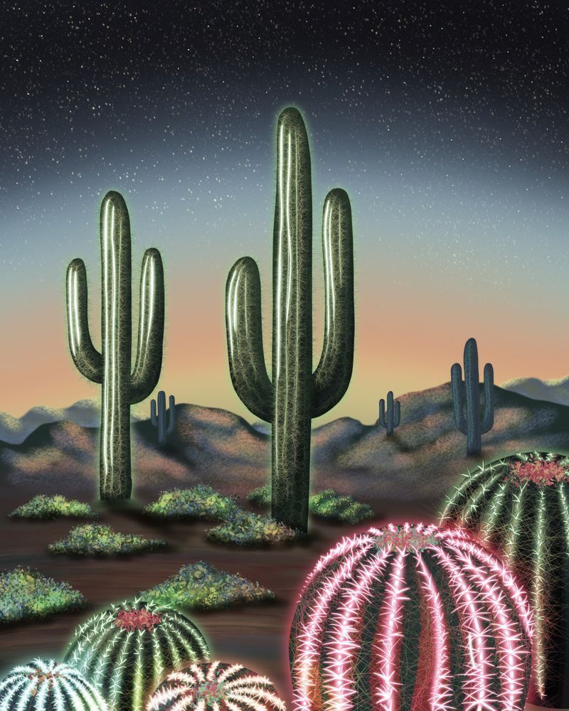 Whimsical Cacti and Cosmos Art Print for Desert Lovers
