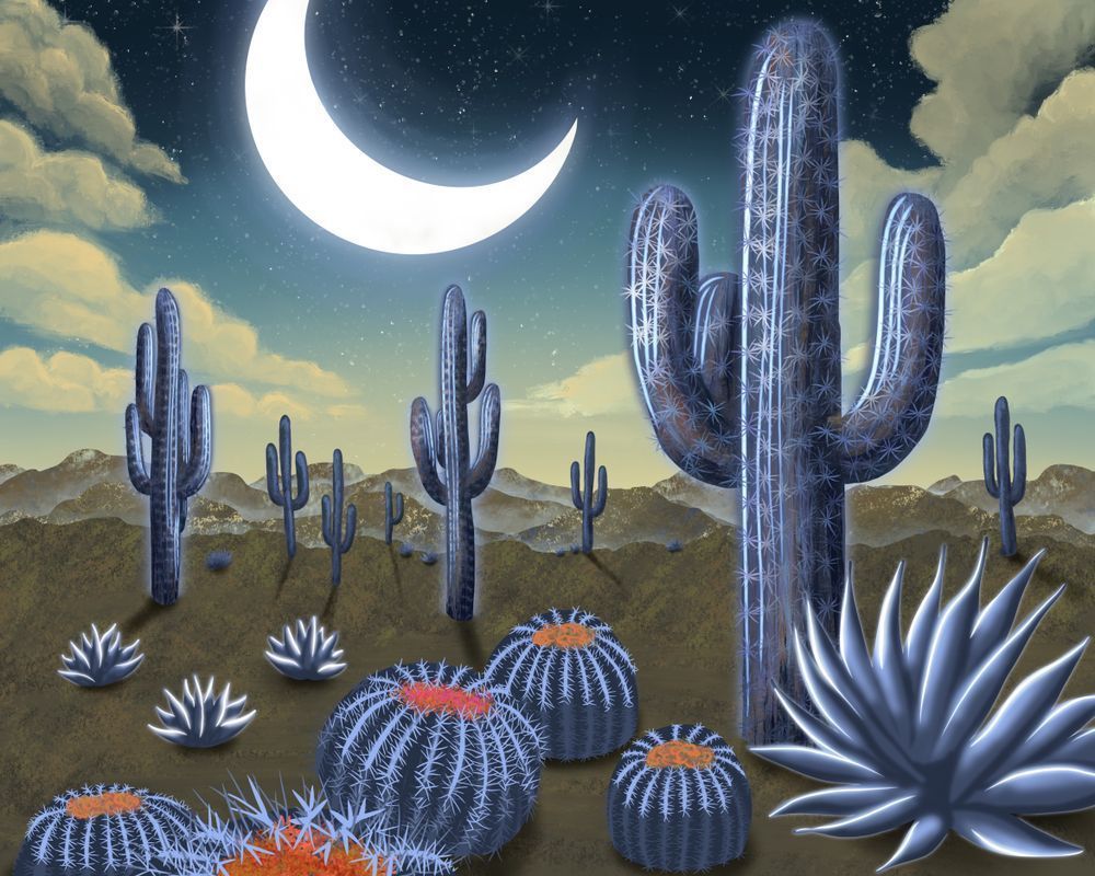 Desert Night Whispers - Digital Desert Artwork