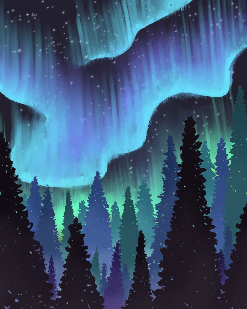Night's Embrace: Captivating Forest Under the Aurora