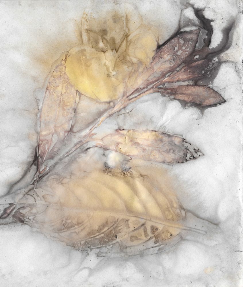 Shop Natural Wall Art by Debbie Alley