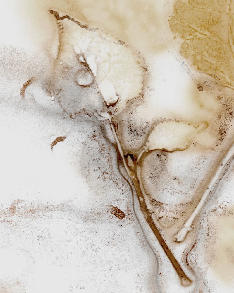 Shop warm and comforting nature prints by Debbie Alley