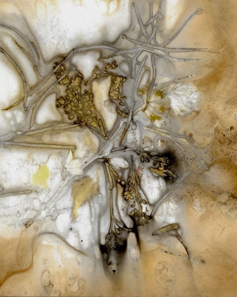 Shop Golden Colored Botanical Prints by Debbie Alley