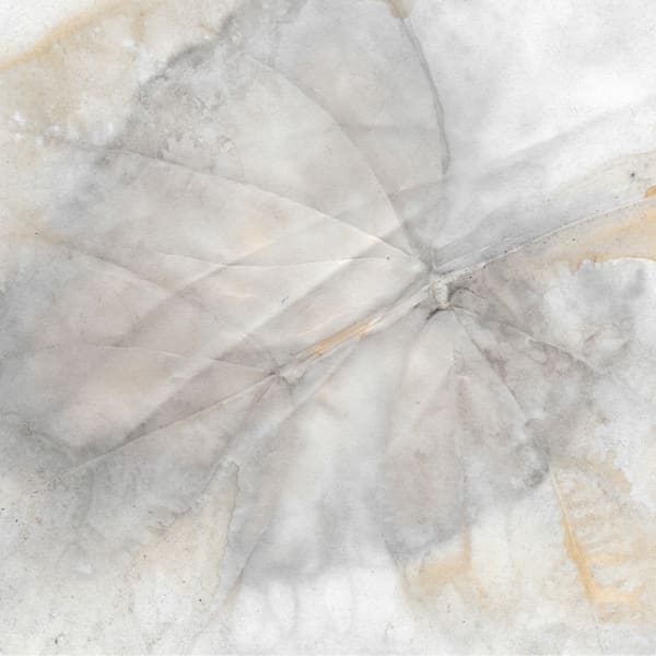 Impressions Art | Debbie Alley