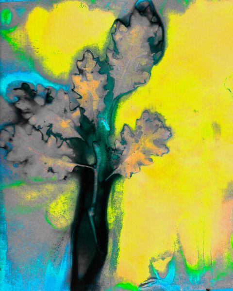 Western Elegance Art Collection