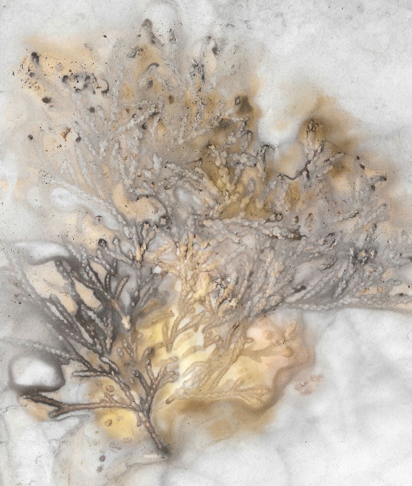 Soft Glow Art | Debbie Alley