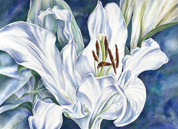 Casa Blanca Art | Eileen Baumeister McIntyre Fine Art